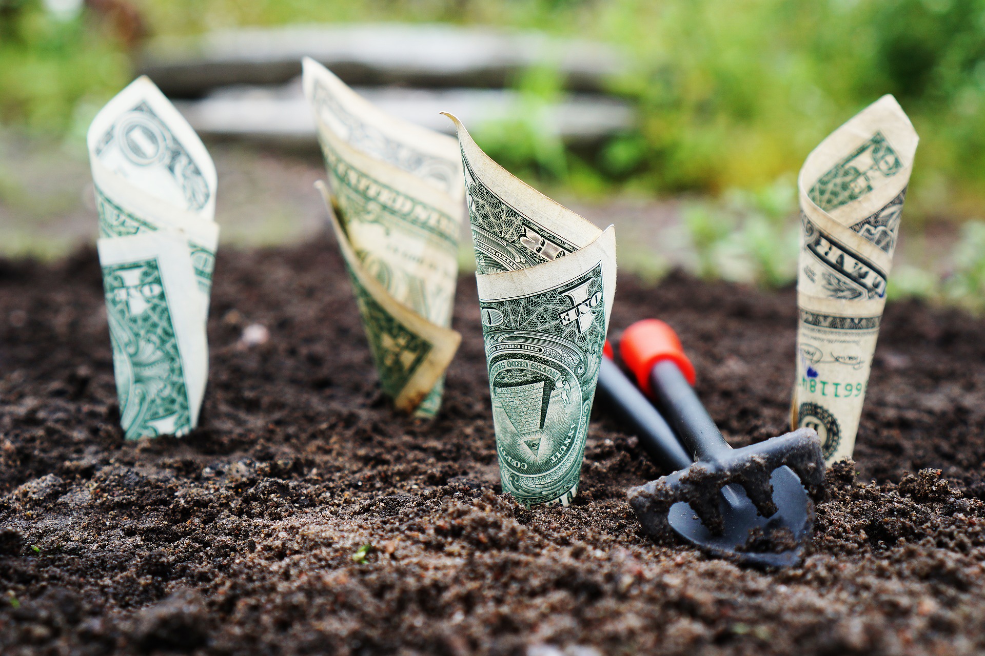 why invest in outplacement career coaching job search